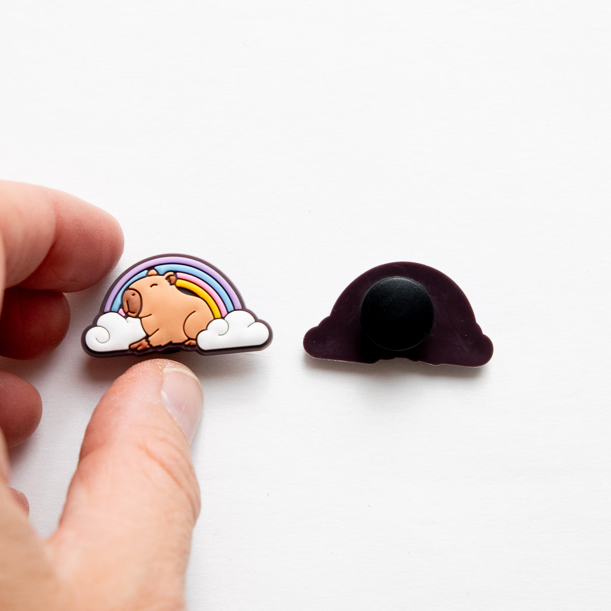 Accessoires pour Crocs Capybara & Arc-en-ciel