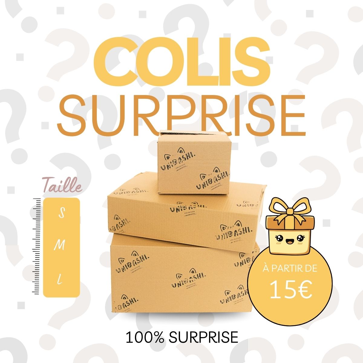 Colis Mystère 100% Surprise