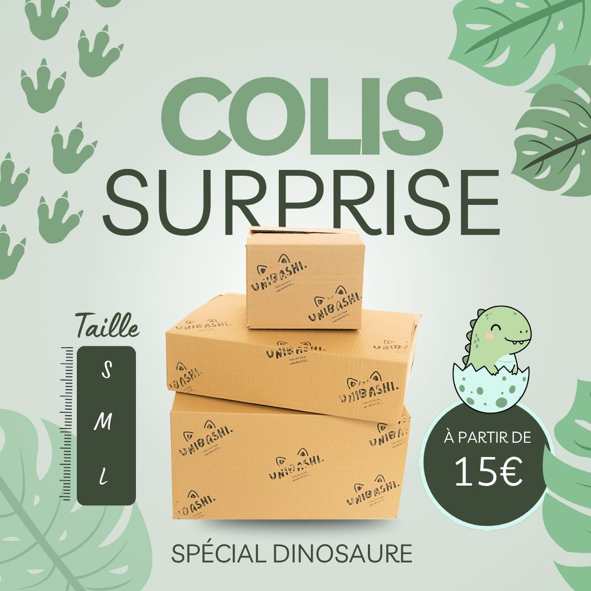 Colis Mystère 100% Dinosaure