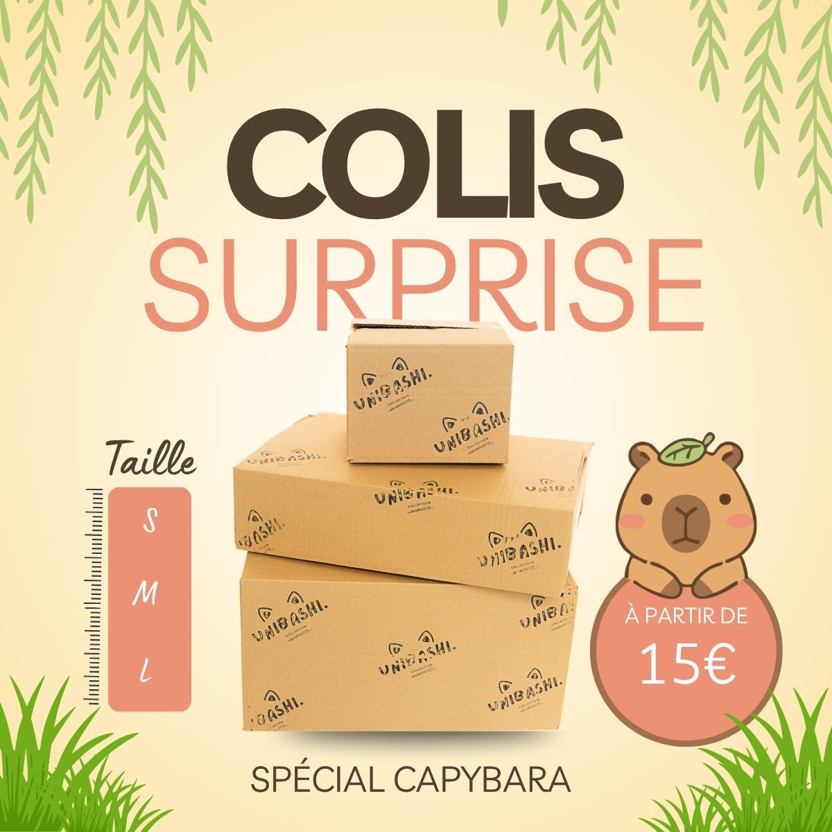 Colis Mystère 100% Capybara