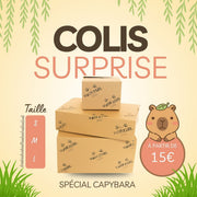 Colis Mystère 100% Capybara
