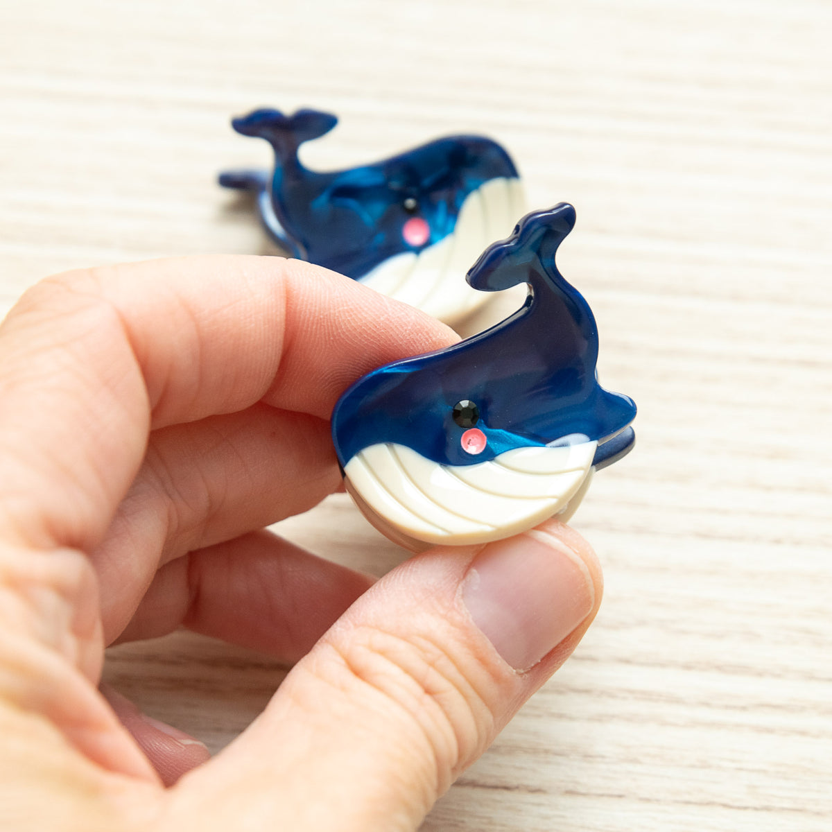 Pince Animaux Marins