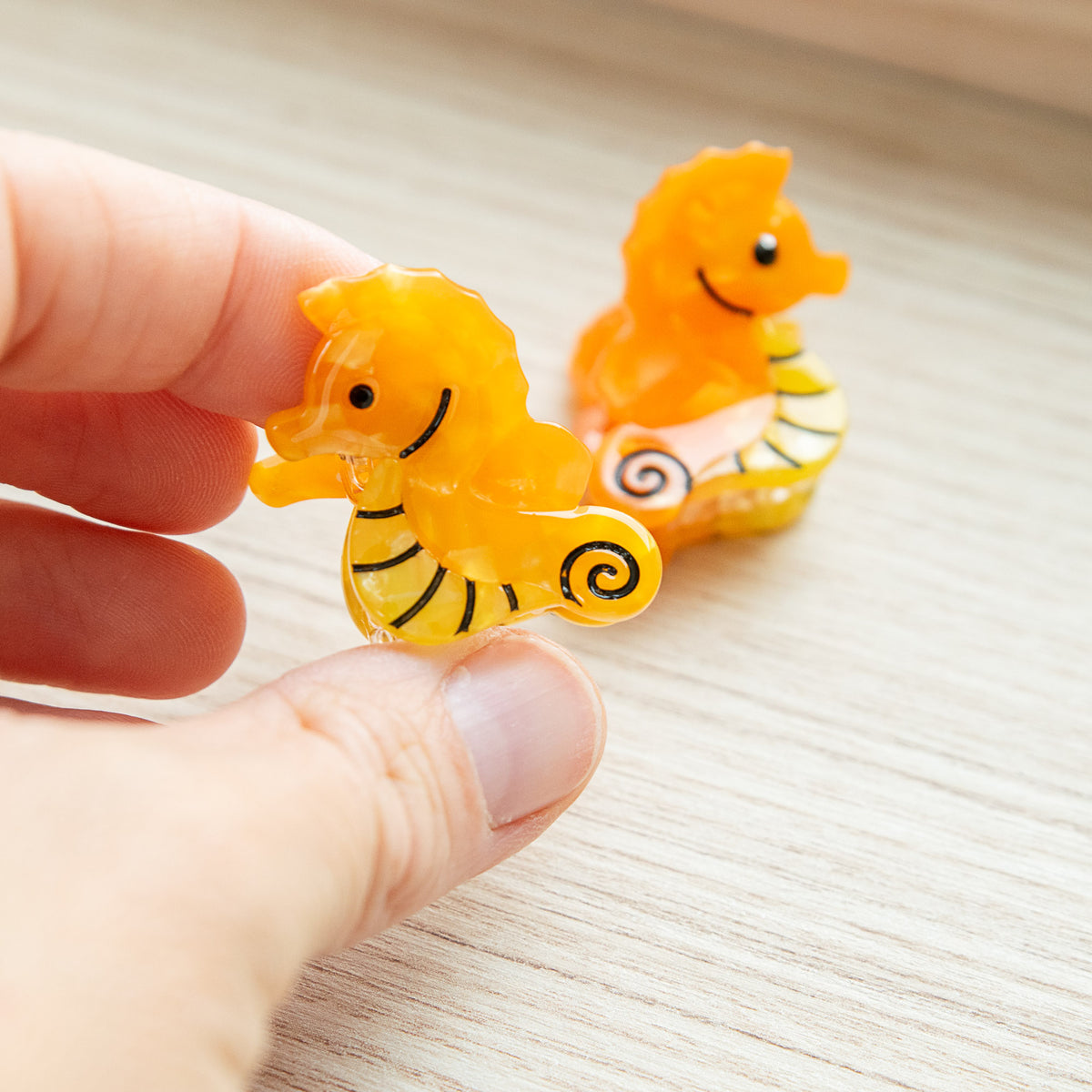 Pince Animaux Marins