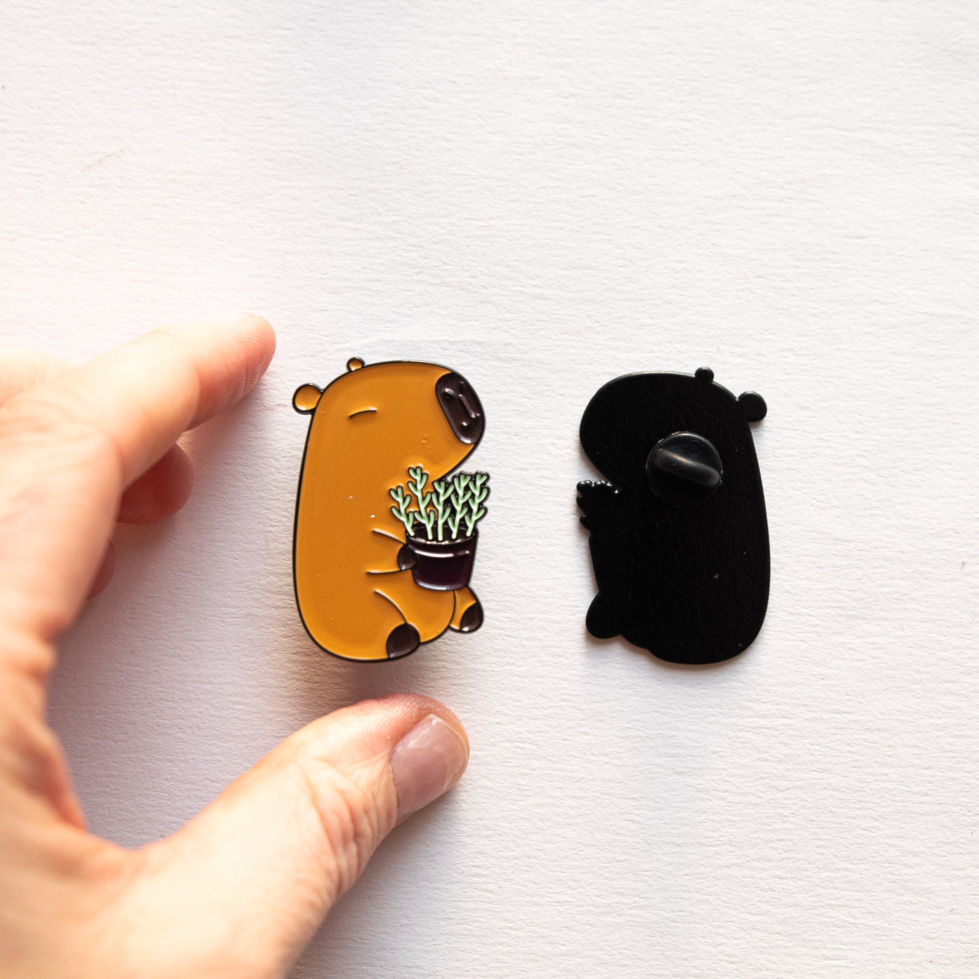 Katzenklammer &amp; Toilettenpapier